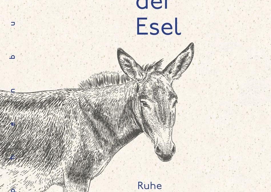 „Die Weisheit der Esel“ von Andy Merrifield