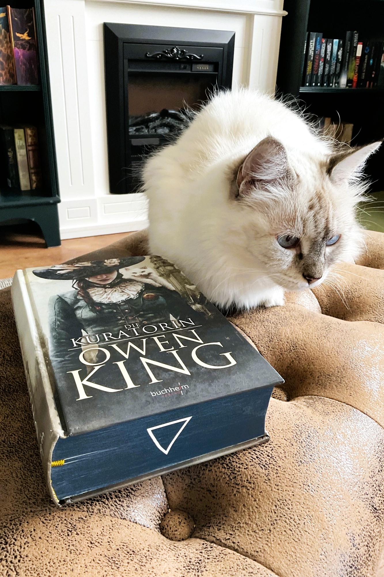 Mein Bücherbudget hat gekündigt